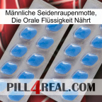 Männliche Seidenraupenmotte, Die Orale Flüssigkeit Nährt 23